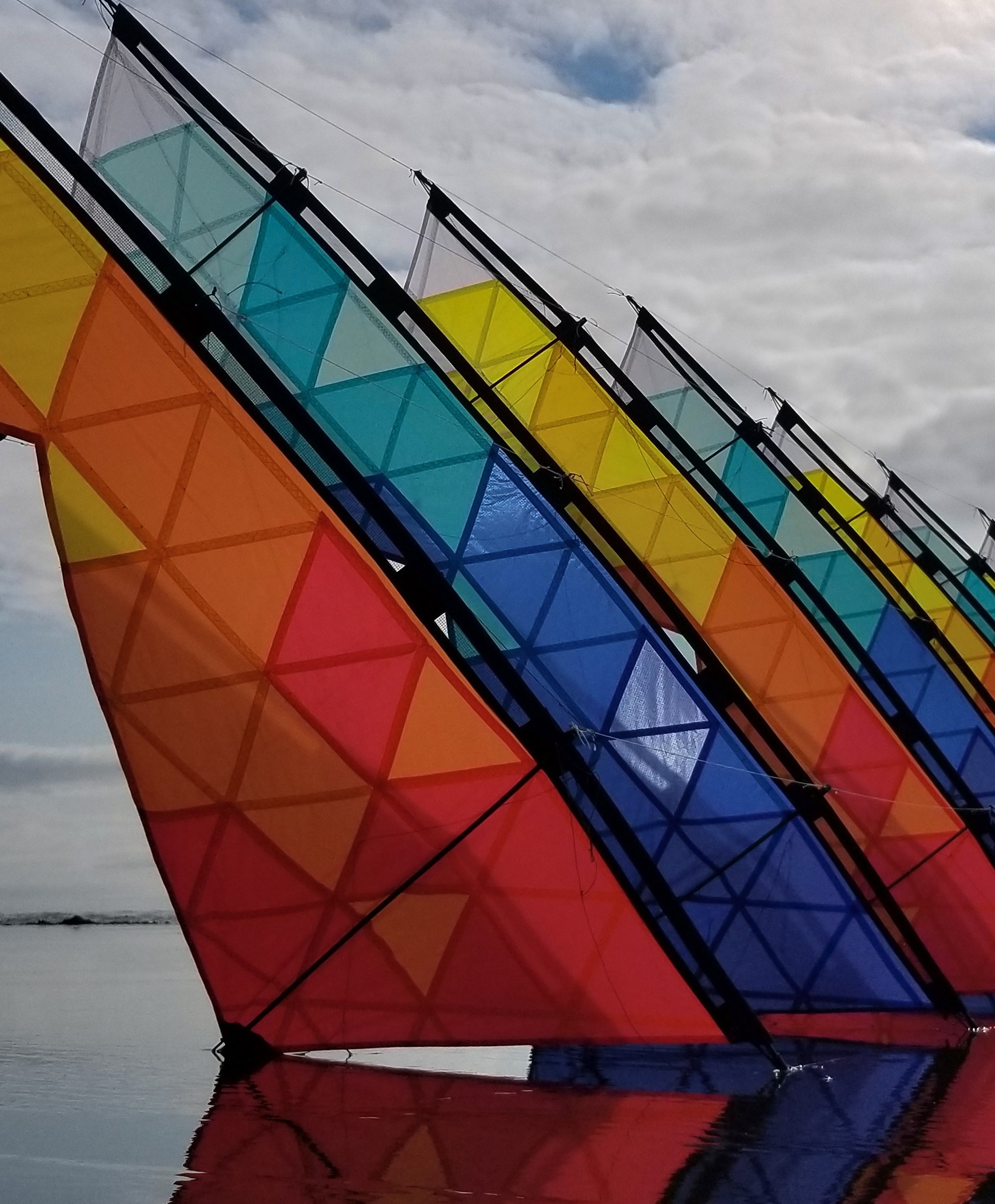 Detail of the back of the kites